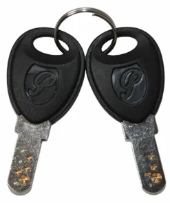 Flyer - Clés De Rechange Pour Batterie Panasonic - 1 Paire