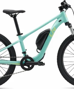 Giant Liv Tempt E+ 24 - 2023