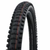 Schwalbe - Pneu Big Betty - Evolution | Tringle Souple | Super Gravity | Addix Soft | 27.5" | 29"
