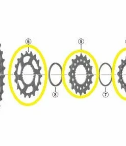 Shimano - Pignon Pour Cassettes XT CS-M8100 Et SLX CS-M7100 - 14/16/18 Dents